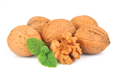 Similar image 1799528