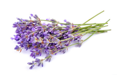 Similar image 1799547