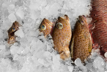 Similar image 1801412