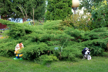 Similar image 1801422