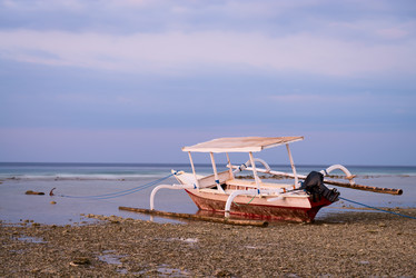 Similar image 1801425