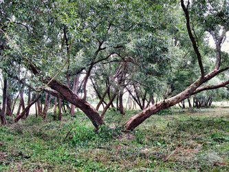 Similar image 1801439