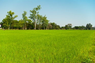 Similar image 1801495