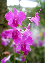 Similar image 1801500