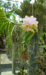 Similar image 1801505