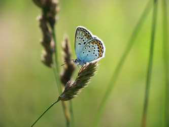 Similar image 1801531