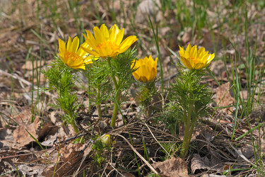 Similar image 1801555