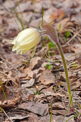 Similar image 1801557