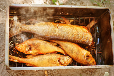 Similar image 1801593