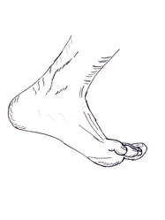 Similar image 1801622