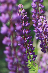 Similar image 1801652