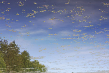 Similar image 1801653