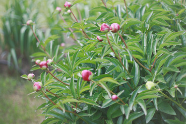 Similar image 1801654