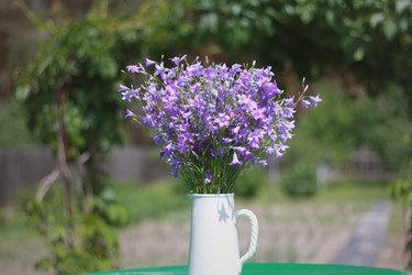 Similar image 1801655