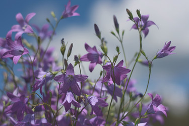 Similar image 1801658