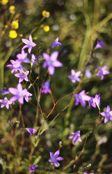 Similar image 1801691