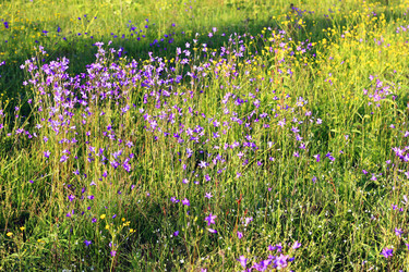 Similar image 1801693