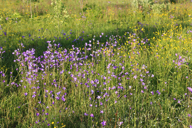 Similar image 1801695