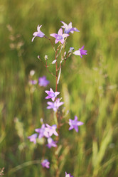 Similar image 1801697