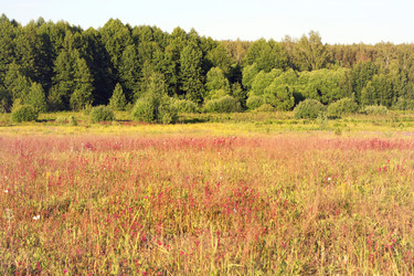 Similar image 1801698