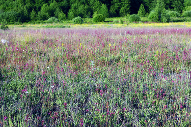 Similar image 1801700