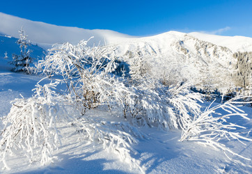 Similar image 1801710