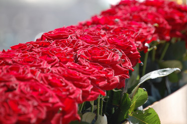 Similar image 1801716