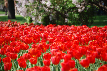 Similar image 1801717