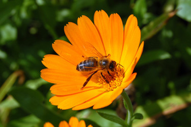 Similar image 1801721