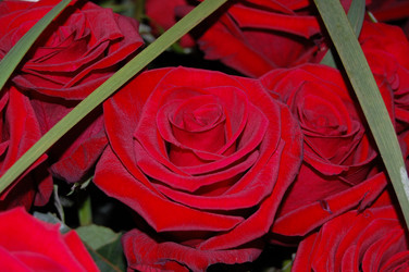 Similar image 1801727