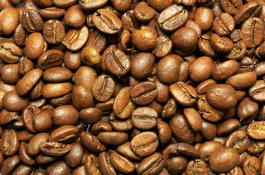 Similar image 1801731