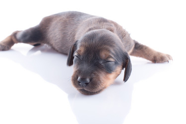 Similar image 1801802