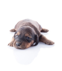 Similar image 1801804