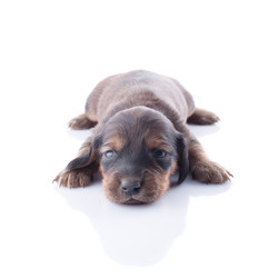 Similar image 1801806