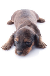 Similar image 1801807