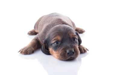 Similar image 1801809