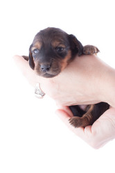 Similar image 1801810