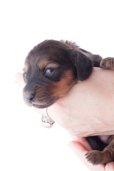 Similar image 1801812