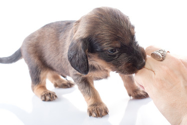 Similar image 1801814