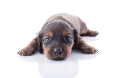 Similar image 1801816