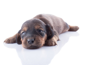 Similar image 1801817