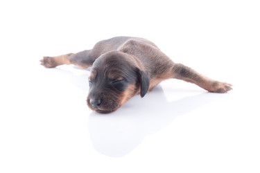 Similar image 1801821