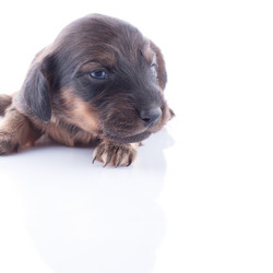 Similar image 1801823