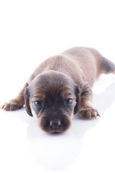 Similar image 1801826