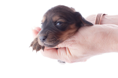 Similar image 1801827