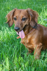 Similar image 1801828