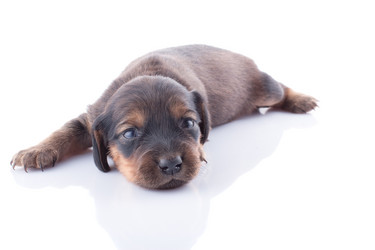 Similar image 1801829