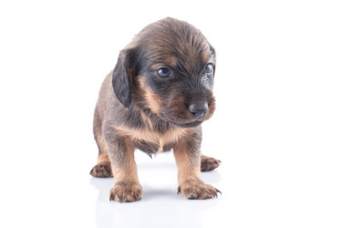 Similar image 1801831