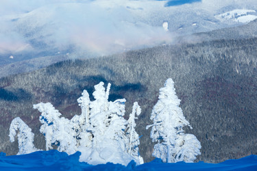 Similar image 1802439