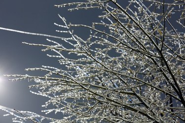 Similar image 1802455